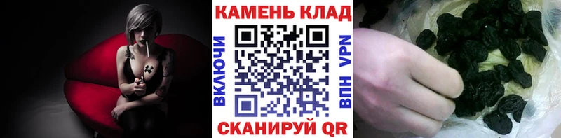 Гашиш Cannabis  Павлово 