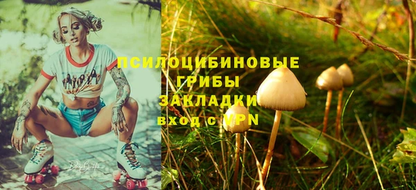 дживик Алексин