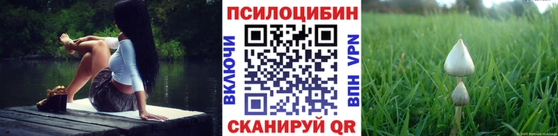 Псилоцибиновые грибы Psilocybe  Павлово 