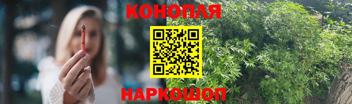 Конопля MAZAR Павлово